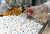 Государство поможет российским производителям продукции халяль выйти на рынки исламских стран